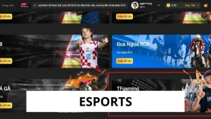 Esports
