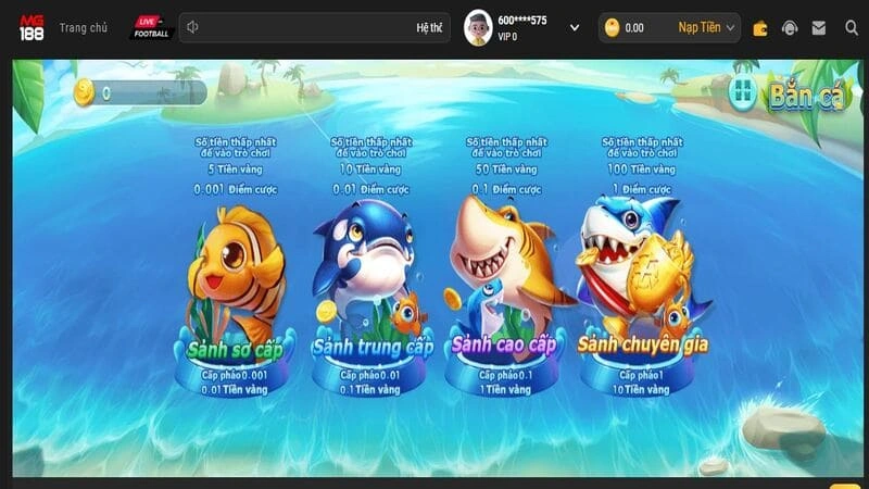 Quy định chung trong bắn cá Bingo Mg188 Quy định chung trong bắn cá Bingo Mg188