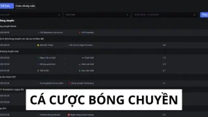 Cá cược bóng chuyền