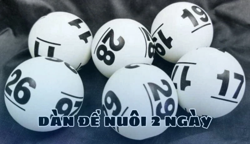 Tìm hiểu sơ lược về dàn đề nuôi 2 ngày Tìm hiểu sơ lược về dàn đề nuôi 2 ngày