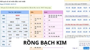 Rồng bạch kim