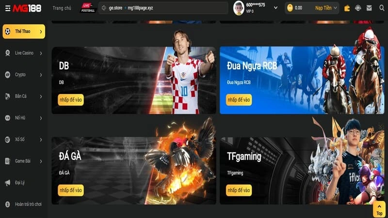Chuyên gia chia sẻ bí kíp cược chuyên nghiệp Chuyên gia chia sẻ bí kíp cược chuyên nghiệp