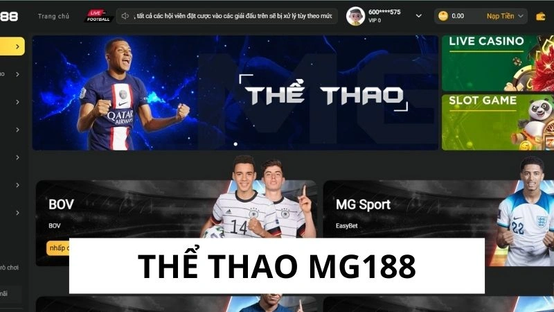 Sơ lược về thể thao Mg188 Sơ lược về thể thao Mg188